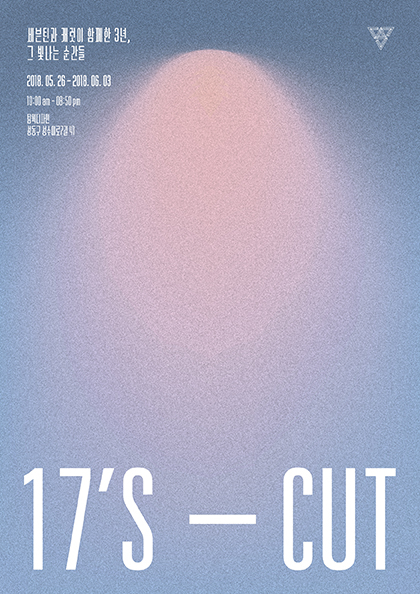 ‘17‘S CUT－<b>세븐틴</b>과 캐럿이 함께한 3년，그 빛나는 순간들’